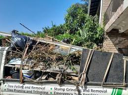 Best Garage Cleanout  in Canyon, TX